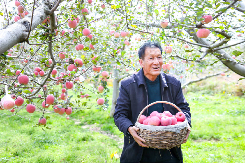 助这儿员工版苹果
:三峡集团联合本来生活抗疫助农，搭建消费帮扶直达通路