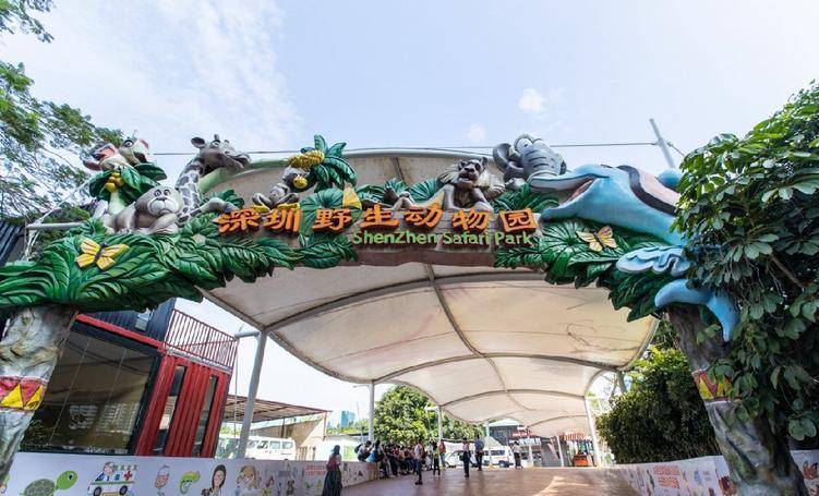 苹果有多少种版:广东旅游：深圳野生动物园有多少种动物？有没有大熊猫？