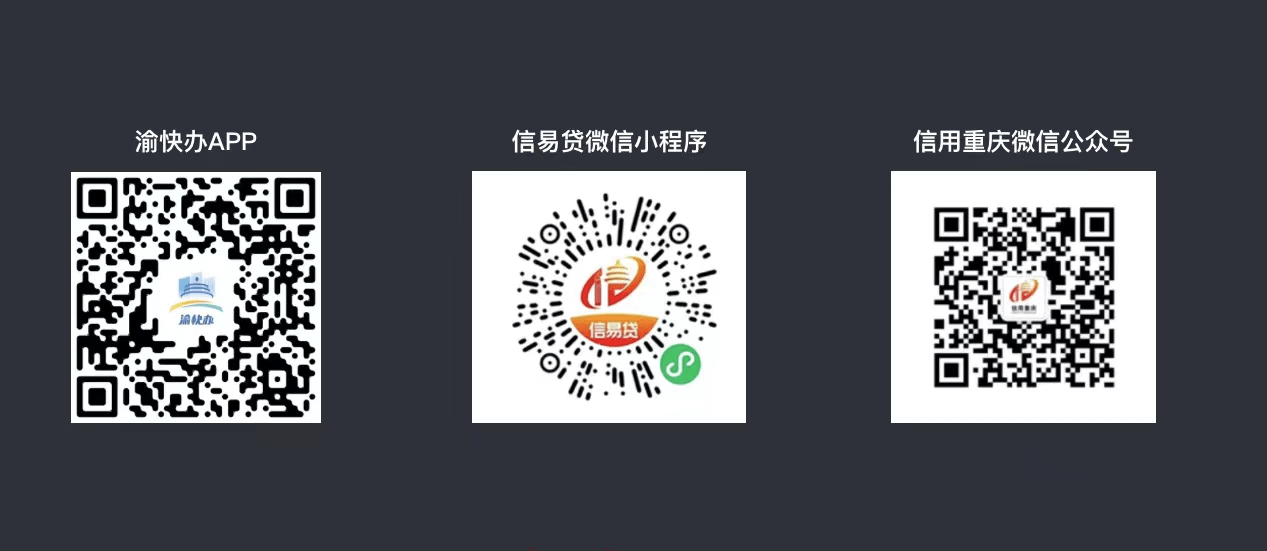 小说查询苹果版网站:助企惠民 重庆企业信用报告实现线上自助查询