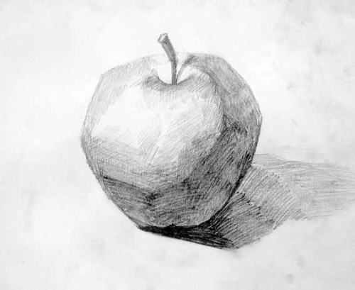 苹果素描图学生版的简单介绍